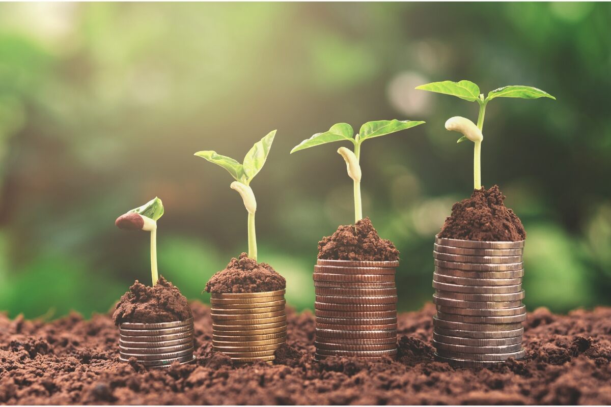 plant money growing concept using small seedlings growing out of each stack of coins