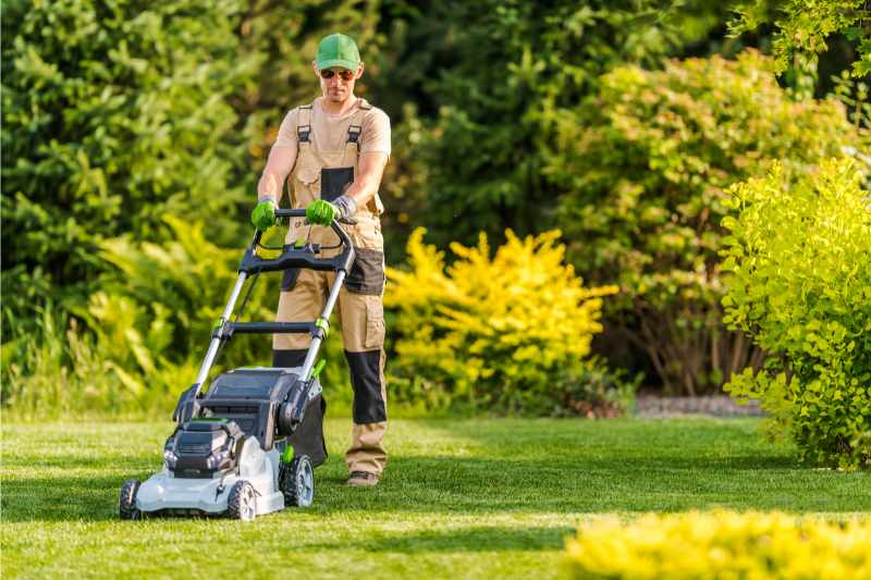 worker doing lawn maintenance