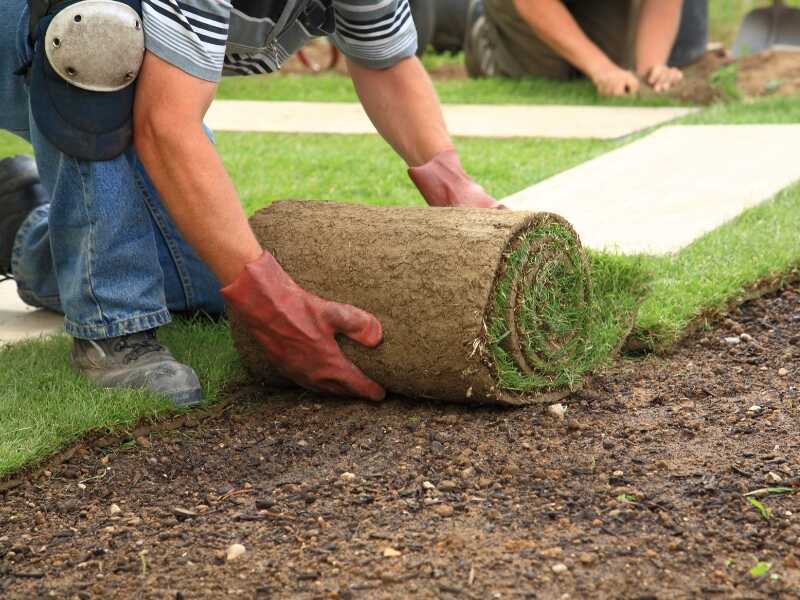 laying sod for a new lawn