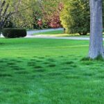 Tips for Leveling a Lawn