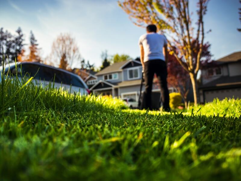 mowing the lawn