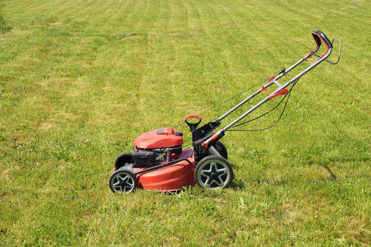 lawn mower on a yellow grass