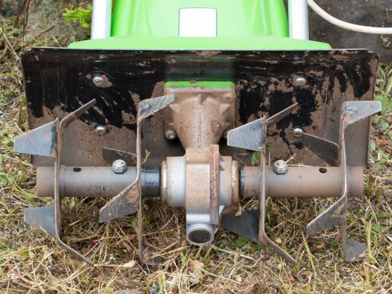 Close-up of grass tiller blades