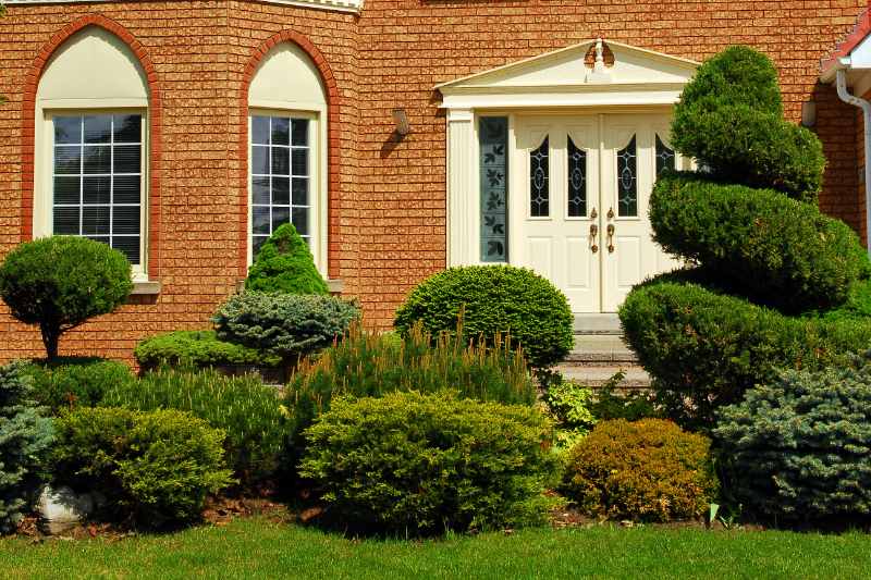 shrubs border in front of a house