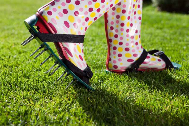 woman wearing spiked lawn aeration shoes walking on grass