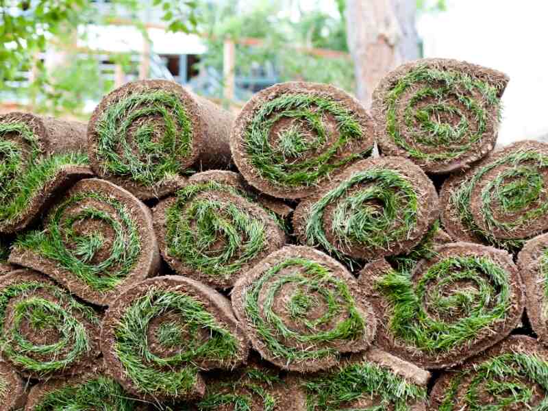 stacked sod rolls