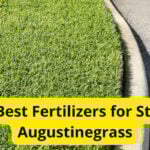 5 Best Fertilizers for St. Augustinegrass in 2023 [Reviews]
