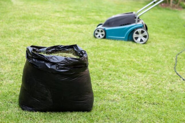 Fresh grass clippings in garbage bag