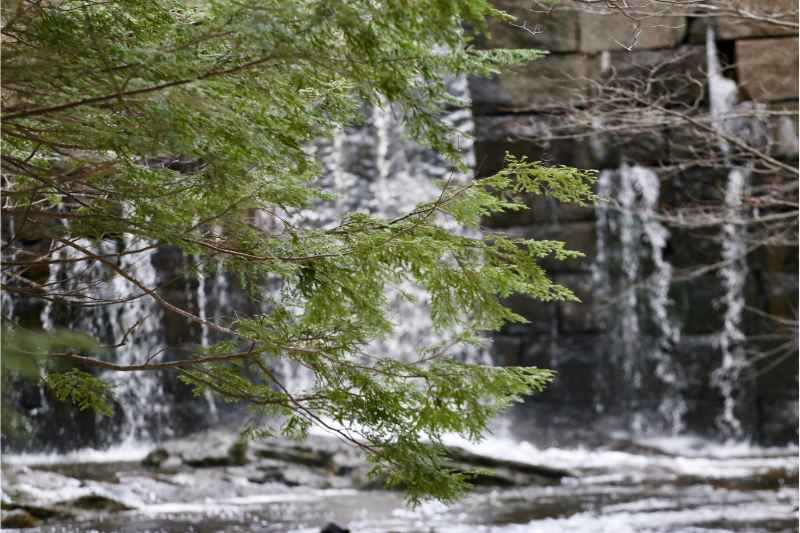 waterfall vaughn woods hallowell maine