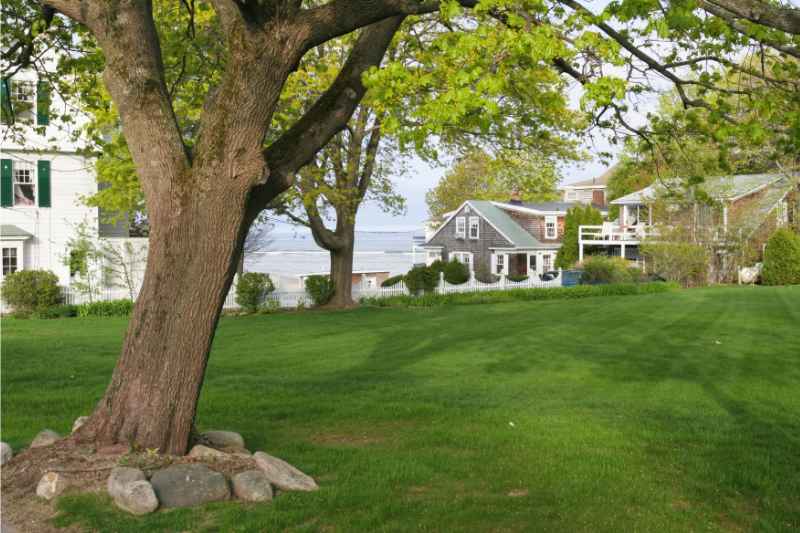 lawn of a house in Ogunquit Maine