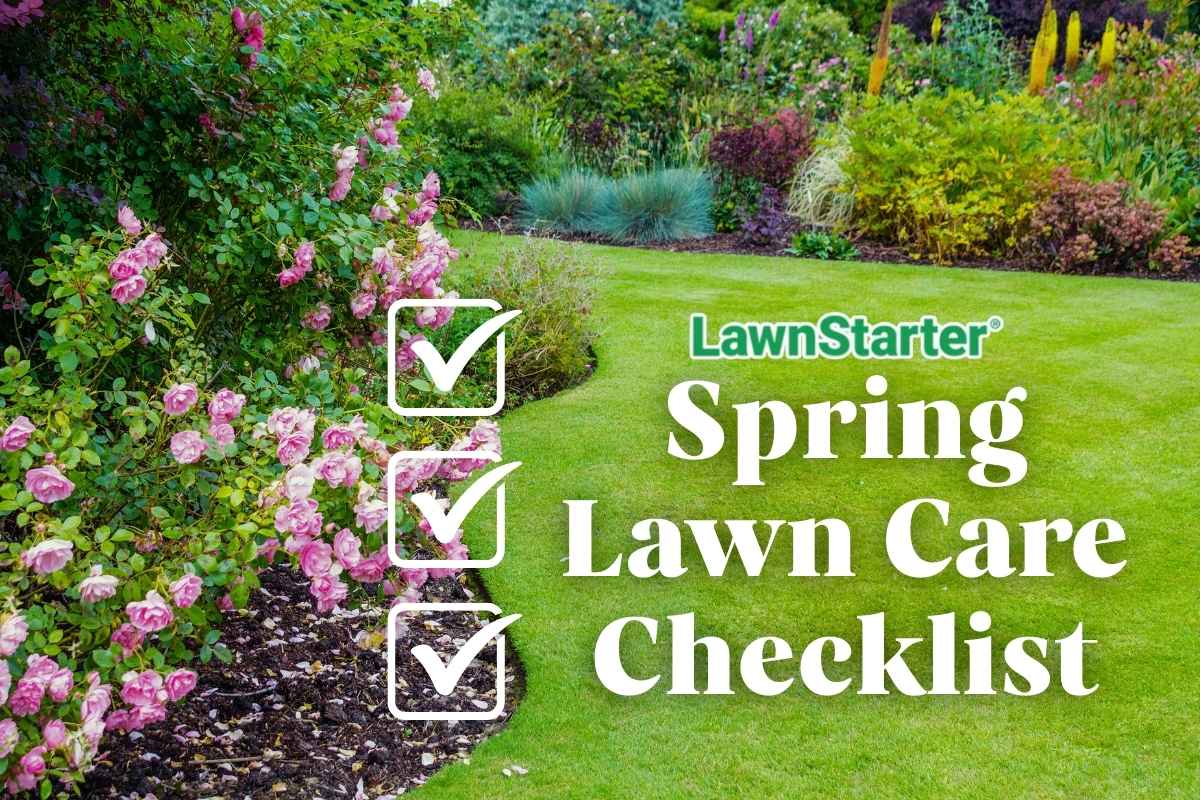 Manicured green lawn curves beside blooming pink roses, with LawnStarter Spring Lawn Care Checklist text and checkmark icons overlay.