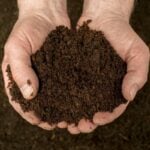 What Is Organic Fertilizer?