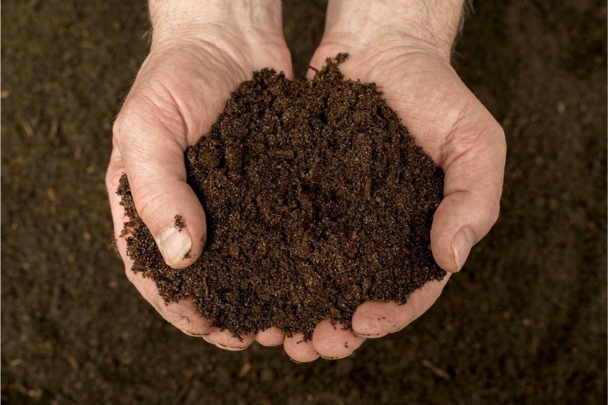 person holding compost soil in their hands