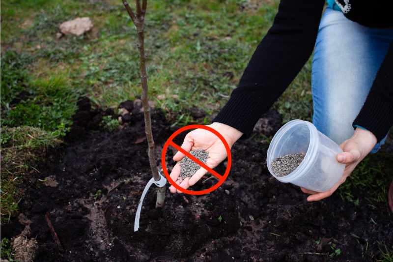 using organic fertilizer with a prohibit sign over it