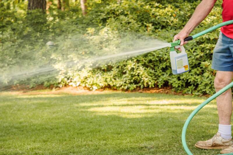 man using hose connected to a bottle of liquid fertilizer to spray on a lawn