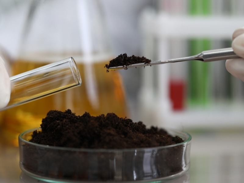 chemist performing soil test