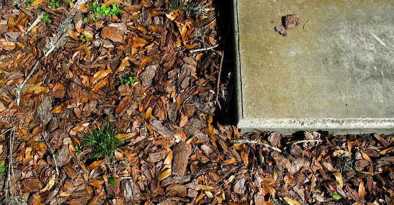 Mulch next to a concrete step