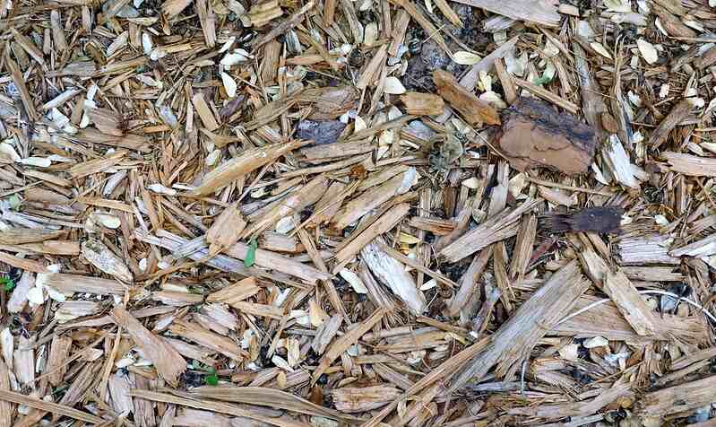 close-up of organic mulch