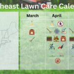 9 Spring Lawn Care Tips for the Northeast