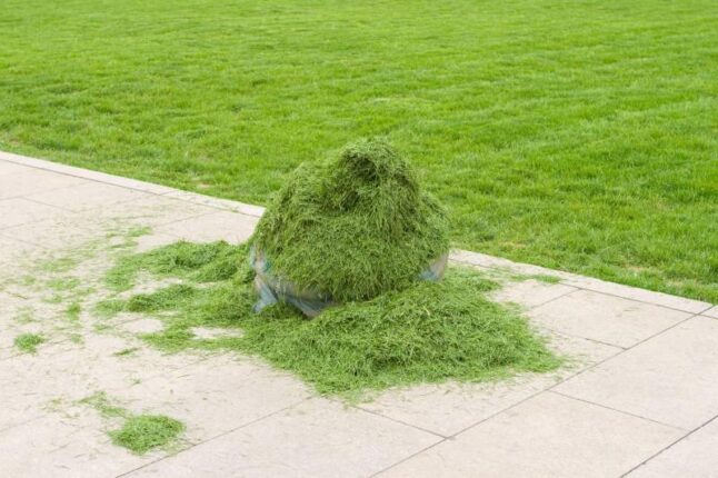 Pile of green grass clippings on a sidewalk