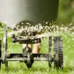 Will Fertilizer Kill New Grass?