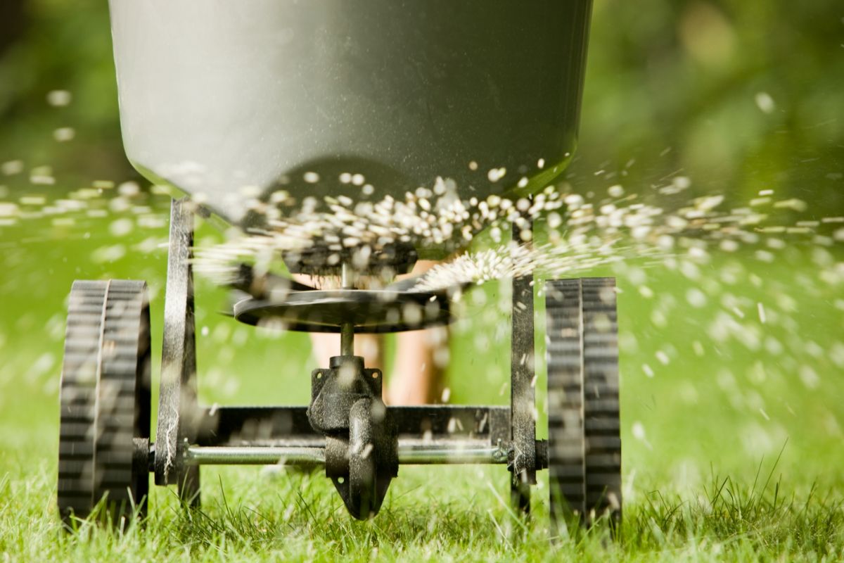spraying fertilizer on grass