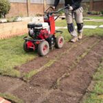 How Much Does Grass Removal Cost in 2026? Worker using a red sod cutter to remove strips of grass from a lawn, exposing bare soil for landscaping
