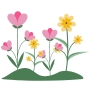 landscape flowers