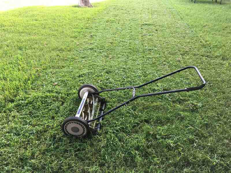Lawn mower on a lawn