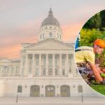 Month-to-Month Lawn Care Guide for Kansas