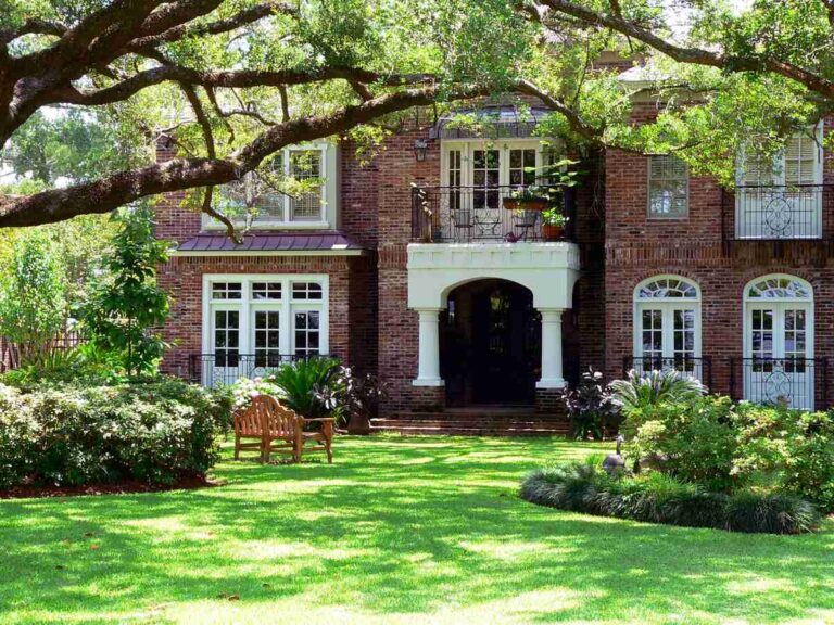 grassy lawn in front of a house in louisiana