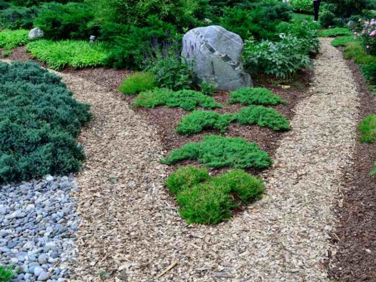 How Often Should You Replace Mulch?