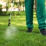 Types of Post-Emergent Herbicides