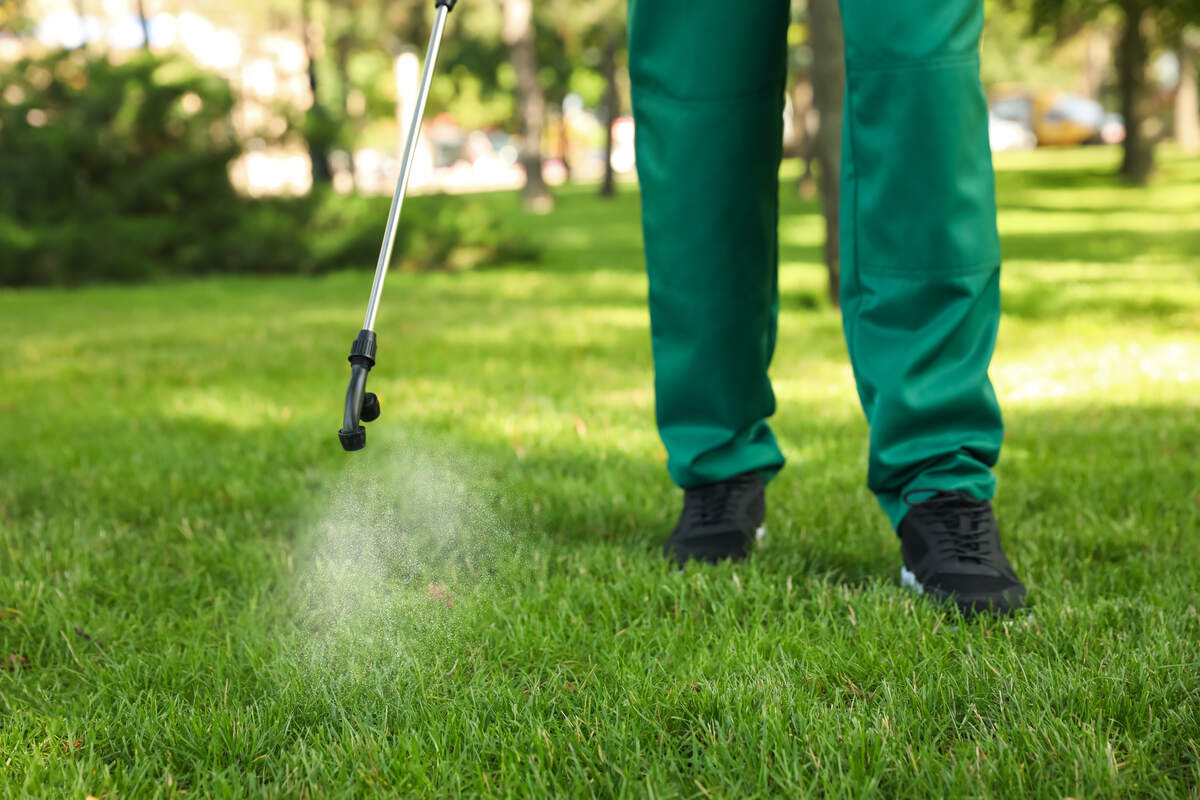 worker spraying herbicide in a lawn