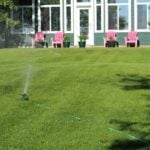 When is the Best Time to Water Your Lawn in Hot Weather?