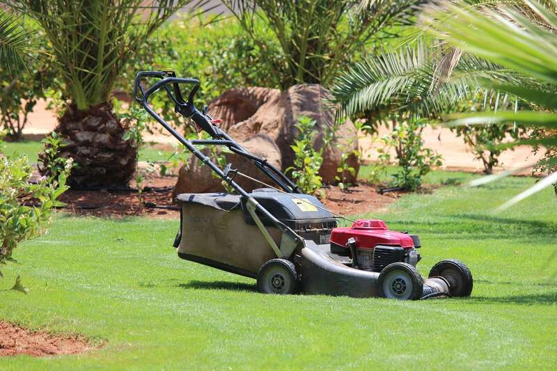 rotary lawn mower on grass