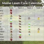 Month-to-Month Lawn Care Guide for Maine Homeowners