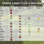 Month-to-Month Lawn Care Guide for Maine Homeowners