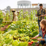 2023’s Best Cities for Urban Gardening