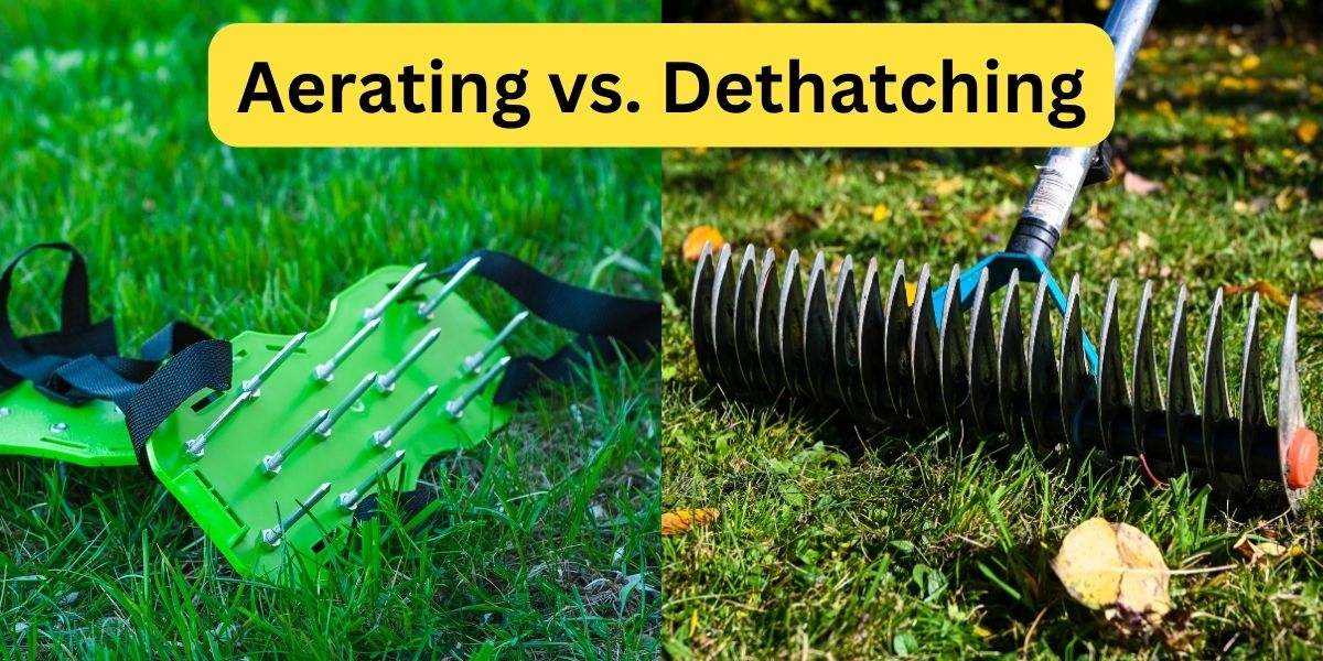 Photo illustration showing aerating and dethatching tools