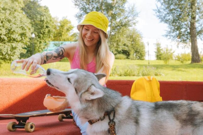 Woman giving water to a husky dog