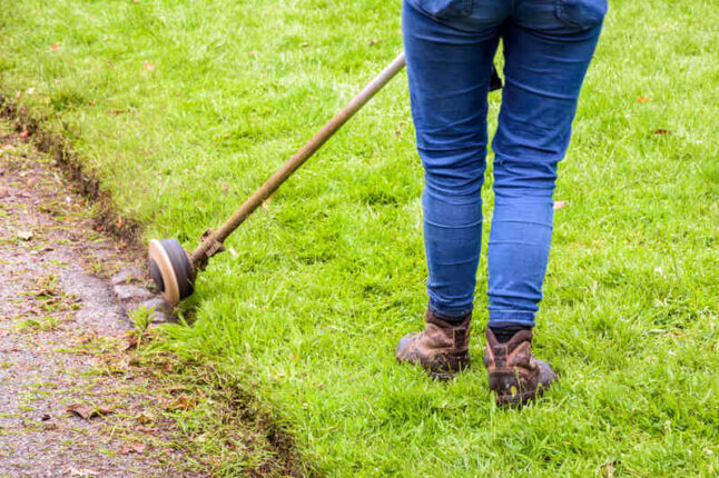 Woman edging a lawn