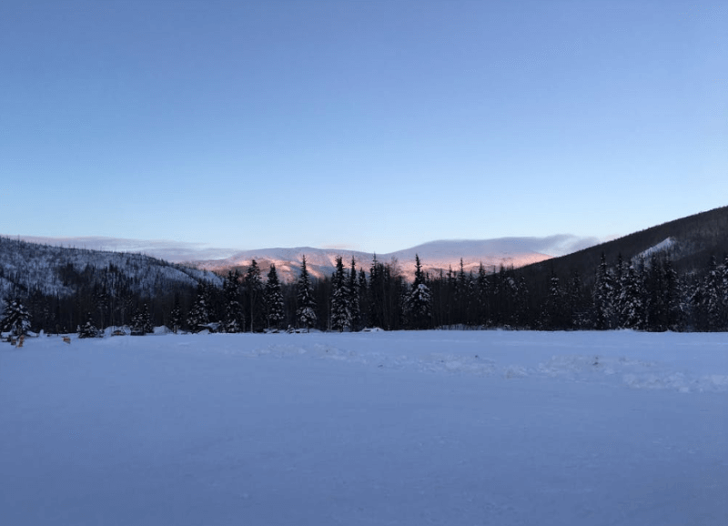 A snowy forest and mountains in Fairbanks North Star Borough, Alaska