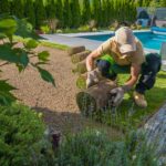 How to Care for New Sod