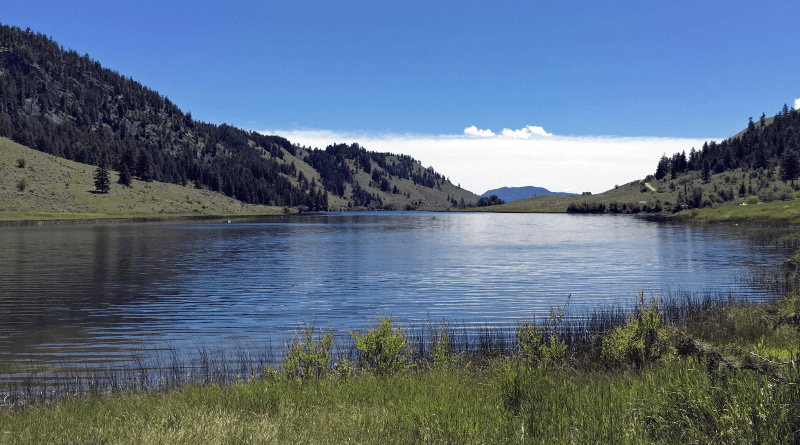 Trees sprout along the hills surrounding Chopaka Lake in Okanogan County, Washington