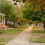 When to Water Your Lawn in Fort Collins