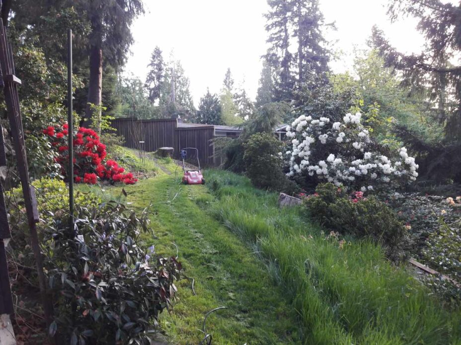 How to Mow Tall Grass In Your Lawn