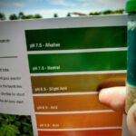 How Soil pH Affects Lawn Health