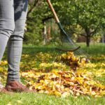 Yard Clean-Up Guide for Reno