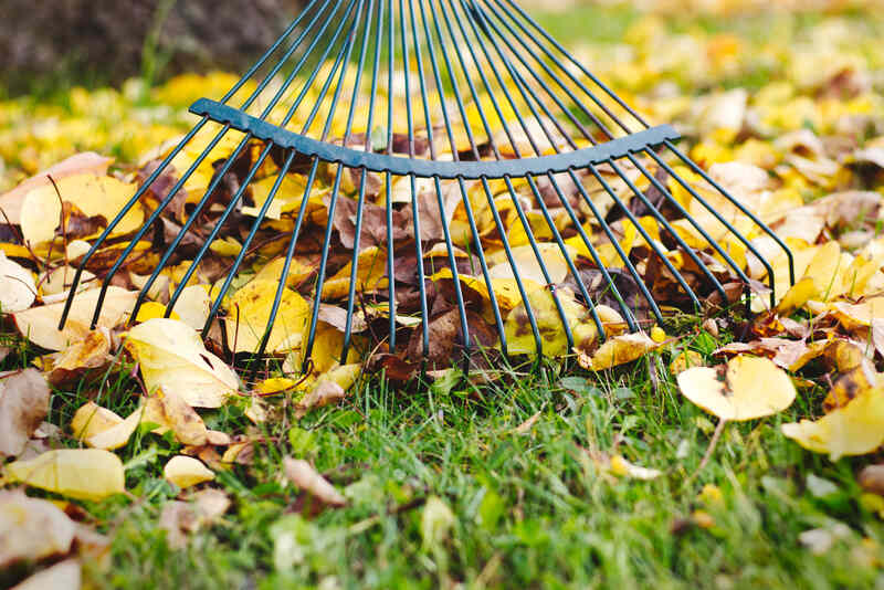 Rake with fallen leaves at autumn